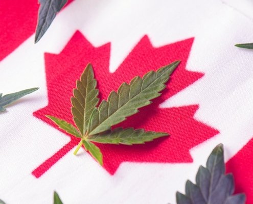 c-|-how-to-order-skittles-moonrock-online