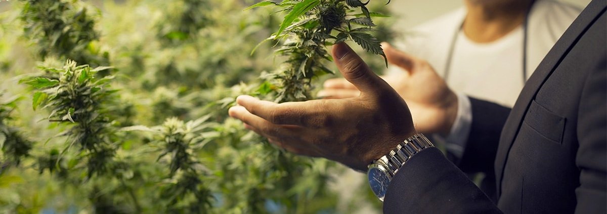 c-|-how-to-order-skittles-moonrock-online