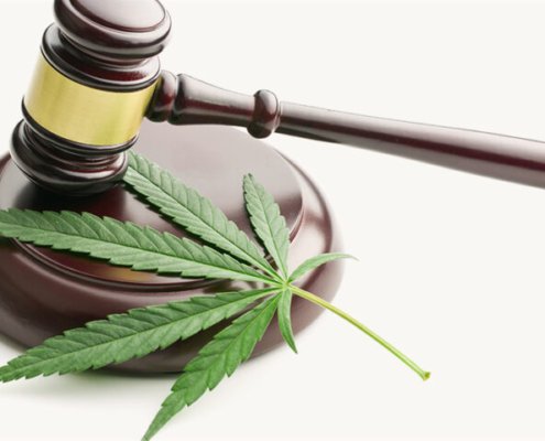 c-|-where-to-order-skittles-moonrock-online