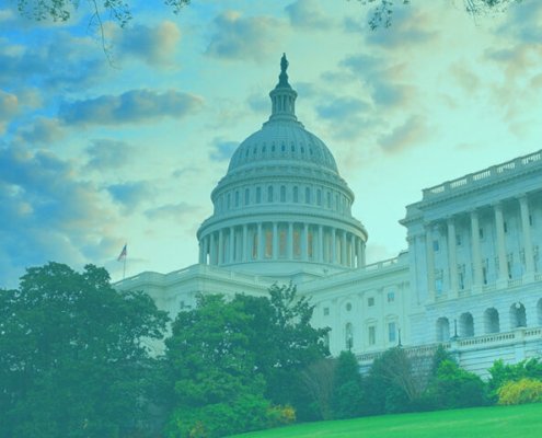 c-|-where-to-buy-skittles-moonrock-online