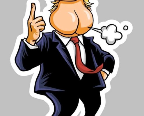 white-house-“toots”-“trumping-trump-|-where-to-buy-skittles-moonrock-online