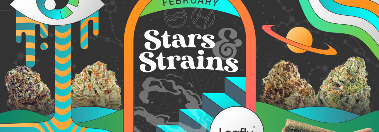 star-signs-and-cannabis-strains:-february-2026-horoscopes-|-where-to-order-skittles-moonrock-online