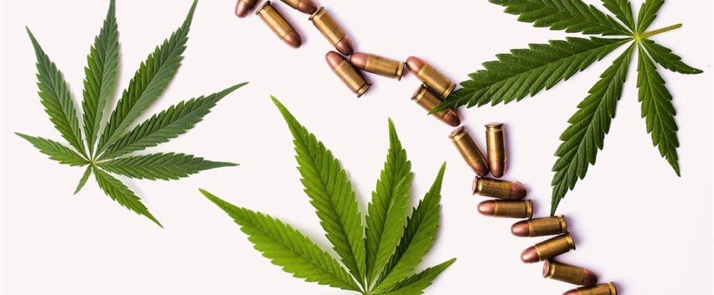 c-|-how-to-order-skittles-moonrock-online