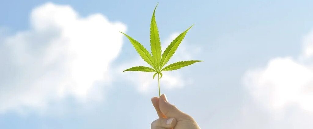 c-|-where-to-order-skittles-moonrock-online