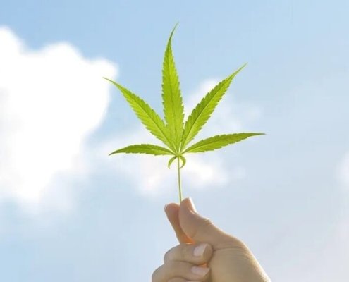 c-|-where-to-order-skittles-moonrock-online