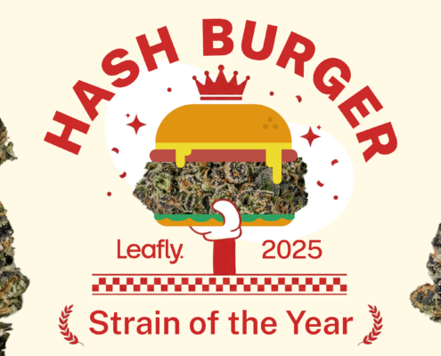 order-up!-hash-burger-is-leafly-strain-of-the-year-2025-|-where-to-buy-skittles-moonrock-online