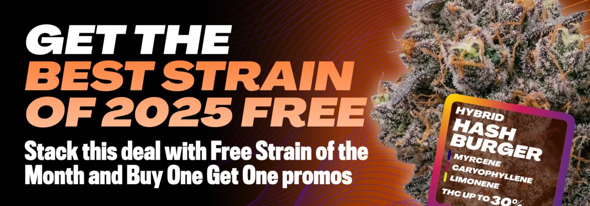 get-a-free-four-pack-of-hash-burger-seeds-from-seed-supreme-|-how-to-buy-skittles-moonrock-online