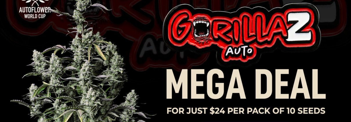 a-once-in-a-lifetime-420-opportunity-from-fast-buds-|-where-to-buy-skittles-moonrock-online