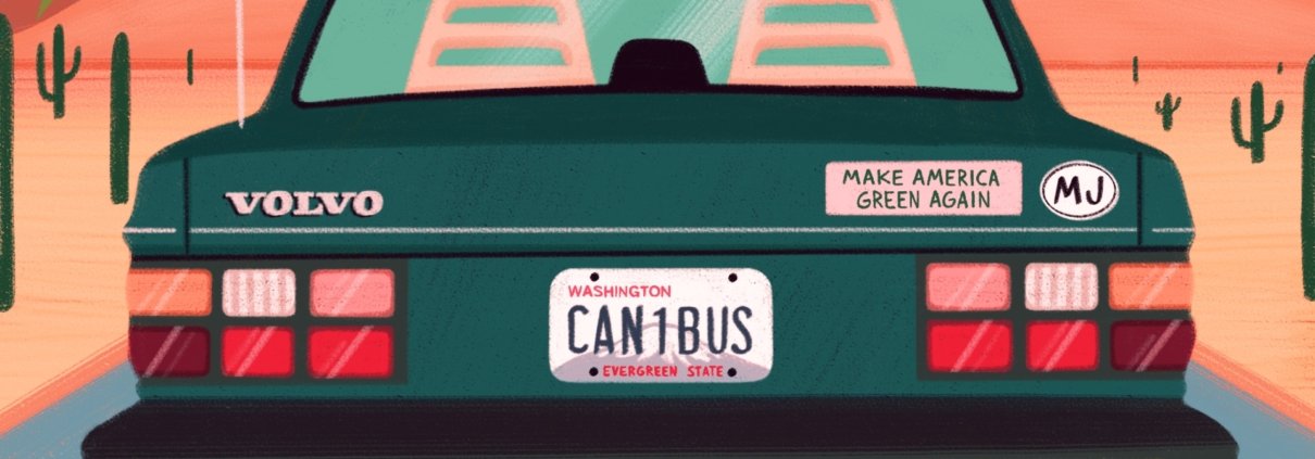 how-to-travel-with-weed:-our-essential-tips-|-how-to-order-skittles-moonrock-online