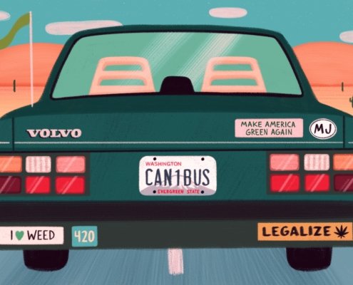 how-to-travel-with-weed:-our-essential-tips-|-how-to-order-skittles-moonrock-online