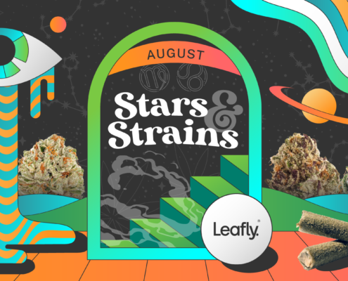 star-signs-and-cannabis-strains:-august-2026-horoscopes-|-where-to-order-skittles-moonrock-online